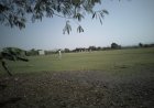 Cricket Fanatics Club Outclass Team Durvas Cricket by 58 Runs in a Vangaon Power Show!
